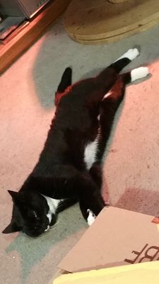 20161121_171517.jpg