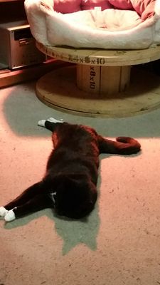 20161123_004115.jpg
