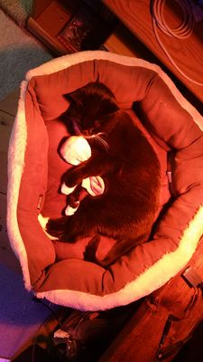 20161210_163707.jpg