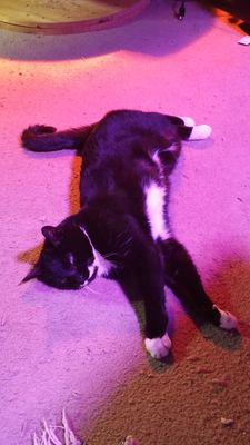 20161210_171200.jpg