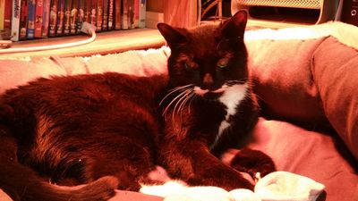 20161226_221634.jpg