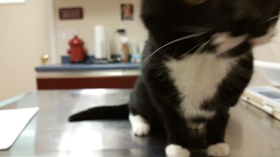 20161230_155417.jpg