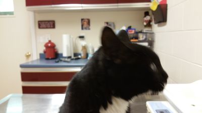 20161230_155426.jpg