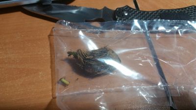 20170111_143453.jpg