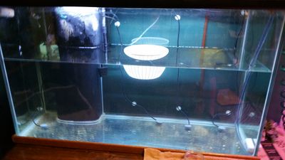20170120_213619.jpg