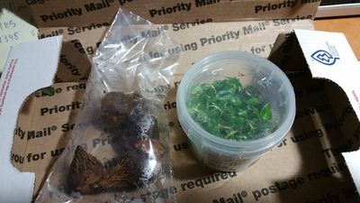 20170130_150647.jpg