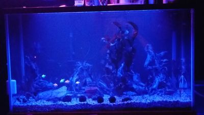 20170209_221653.jpg