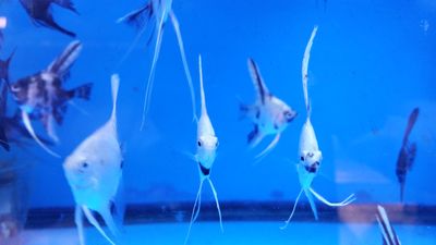 20170211_155830.jpg