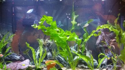 20170213_213614.jpg