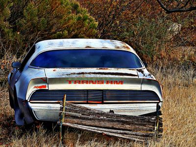 TRANS AM