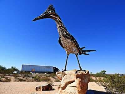 Towering Roadrunner