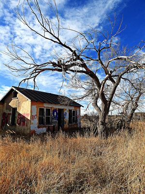 Cuervo, New Mexico