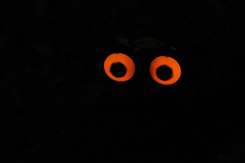 Eyes Watching Us Leave