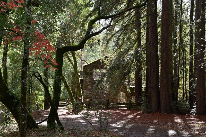 View To Wolf House Ruins