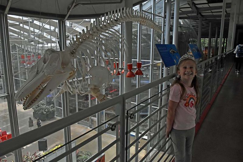 Next To Orca Bones