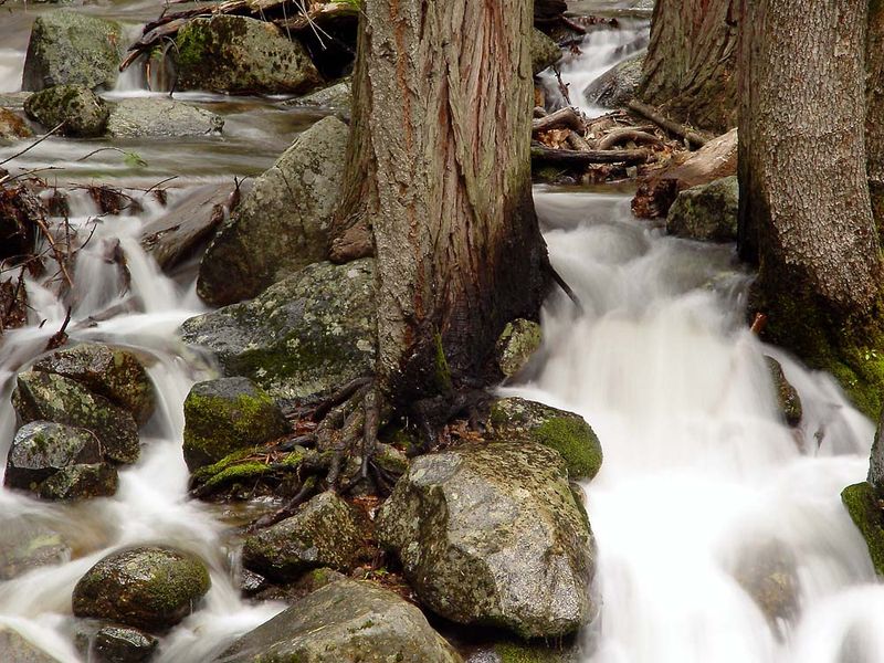 Bridal Veil Creek