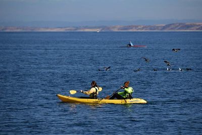 Kayak, Gulls, and Row Boat