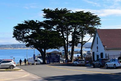 Breakwater Cove Marina