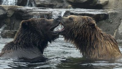 Open Mouth to Mouth