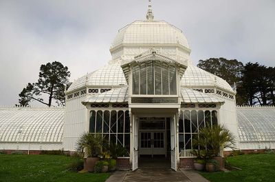 The San Francisco Conservatory Of Flowers