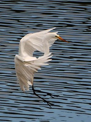 Landing on Striped Water