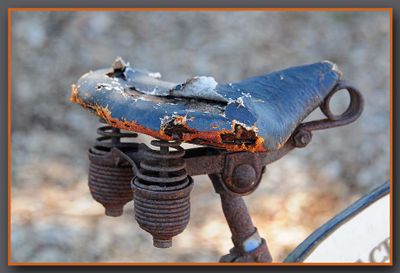 Rusty Bike Seat