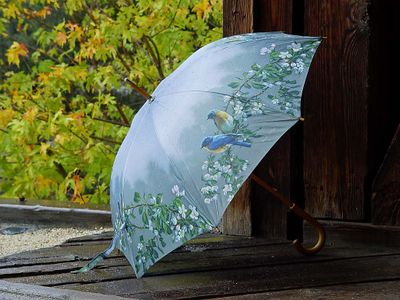 Wet Umbrella