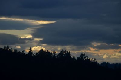 Dark and Light With Pink