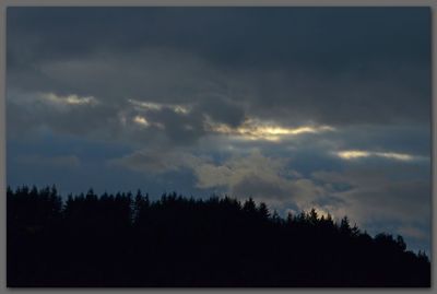 Light In A Dark Sky