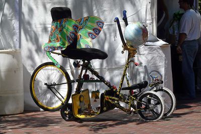 Winged Bicycle-Tricycle