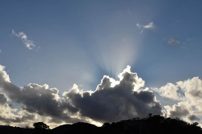 Sun Rays