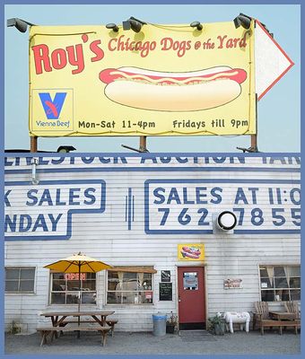 Signs, Windows and Storefronts