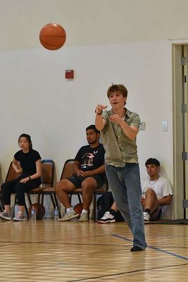 43