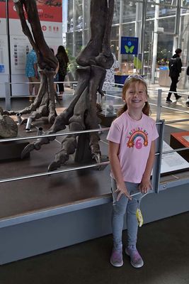 g13/34/494634/3/175039640.6a18abf9.JPEG