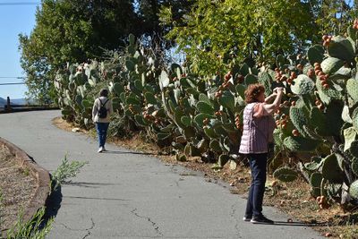 Along the Cactus Path to the Adobe