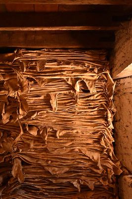 Stacked Hides