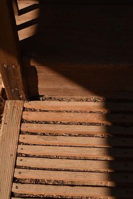 Wood and Shadows