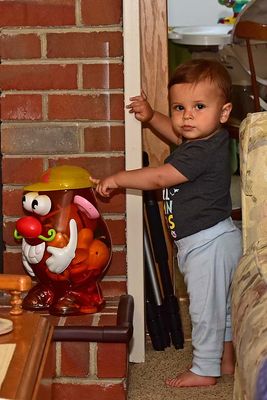 Mr. Potato Head