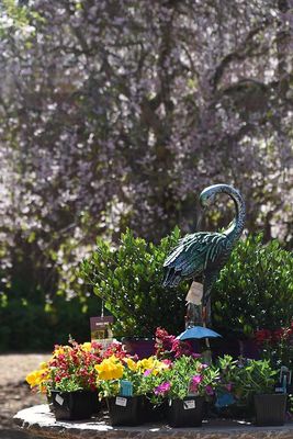 A Garden Shop Egret