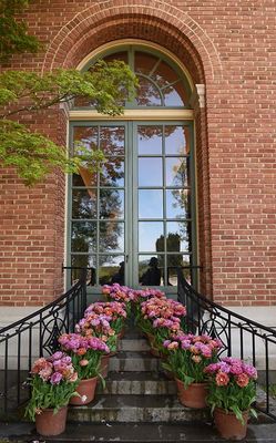 House Steps And Pink Flowers