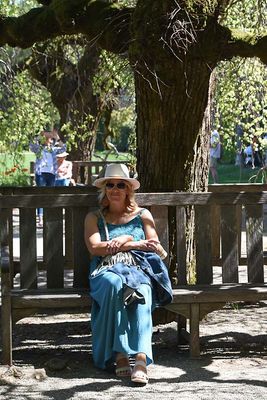 Enjoying A Moment On The Bench