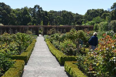 Rose Garden