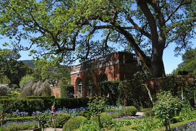 Garden House Under Tree
