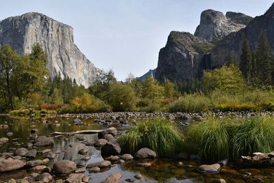 Our Favorite Yosemite Spot