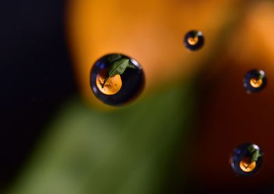 An Orange In A Water Drop