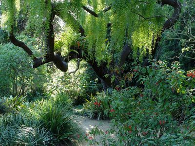 San Francisco Arboretum