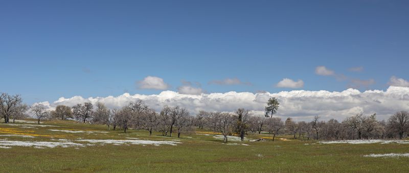 HWY 58 Panorama