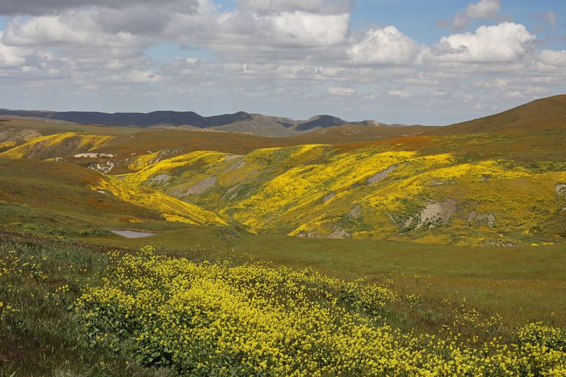 Bitterwater Road