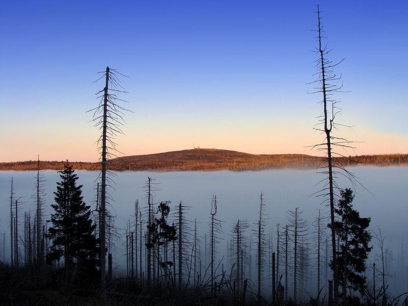  Der Wanderer ber dem Nebelmeer 3