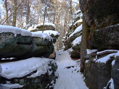 Felsenlabyrinth_Langenhennersdorf_Sachsen 7